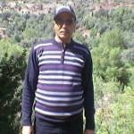 محمد سخراوي Profile Picture