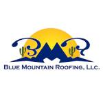Blue Mountain Roofing | Roof Repair Tucson Profile Picture